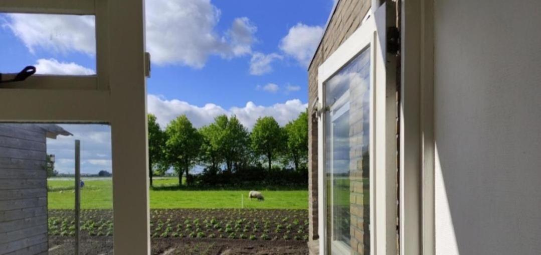 In Het Mooie Friesland Vele Bezienswaardigheden Hantum Екстериор снимка