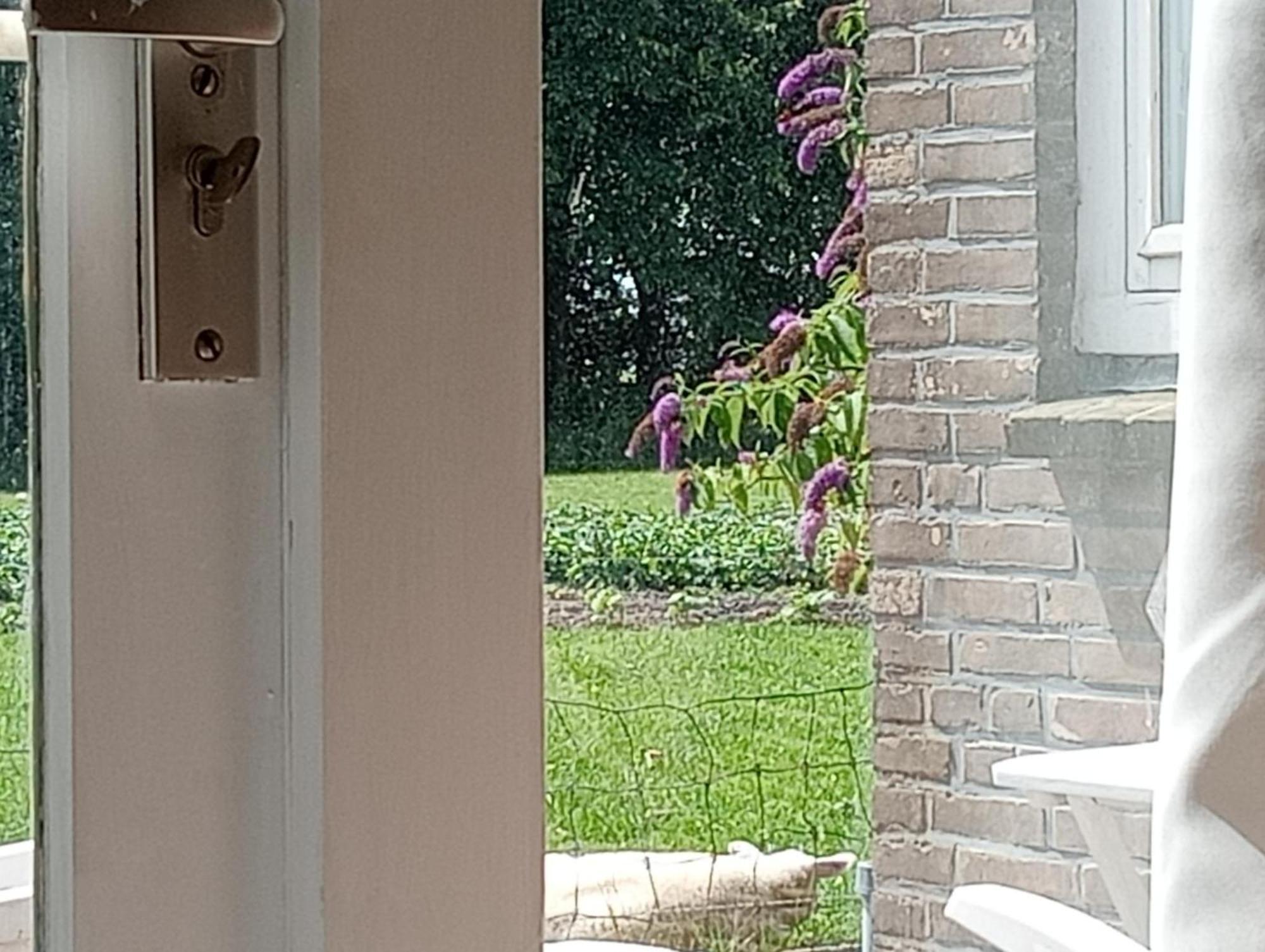 In Het Mooie Friesland Vele Bezienswaardigheden Hantum Екстериор снимка